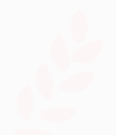 Hacı Biçer inşaat, Üstyapı Hizmetleri, Mimarlık ve Mühendislik Hizmetleri, Anahtar Teslim İnşaat İşleri, Emlak ve Gayrimenkul Hizmetleri, Üstyapı, İnşaat, Ankara İnşaat